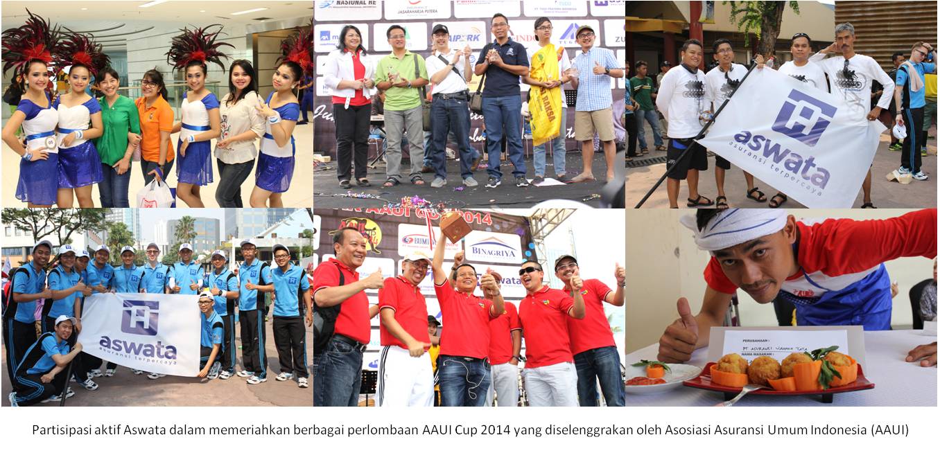 Aswata AAUICup2014 2